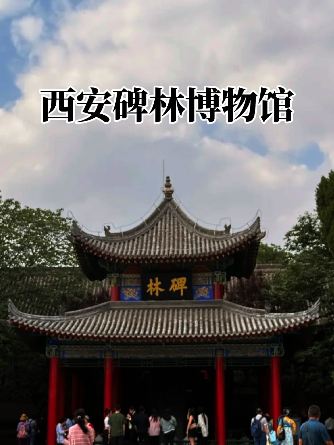 西安碑林博物馆最新政策