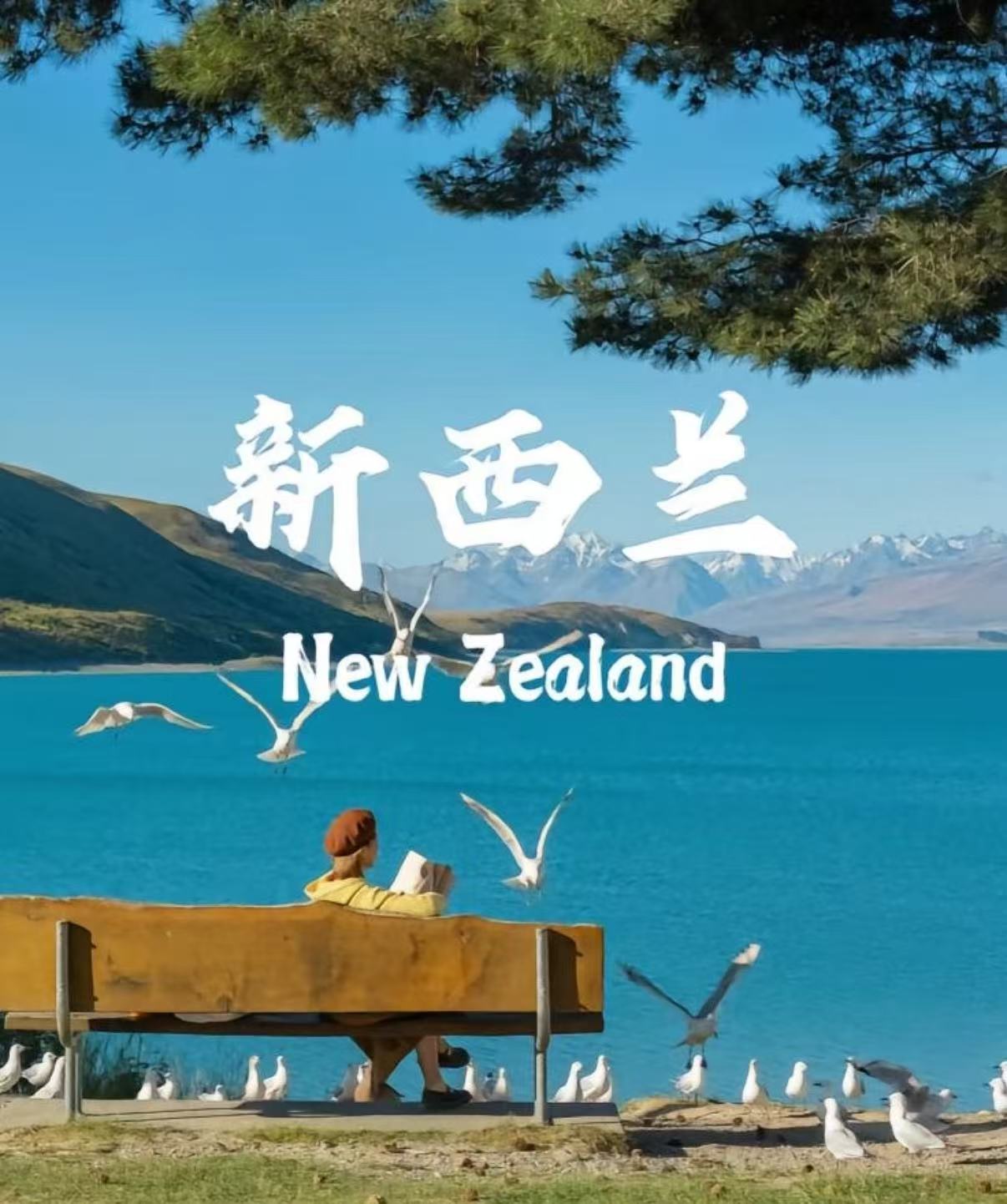 新西兰旅游攻略